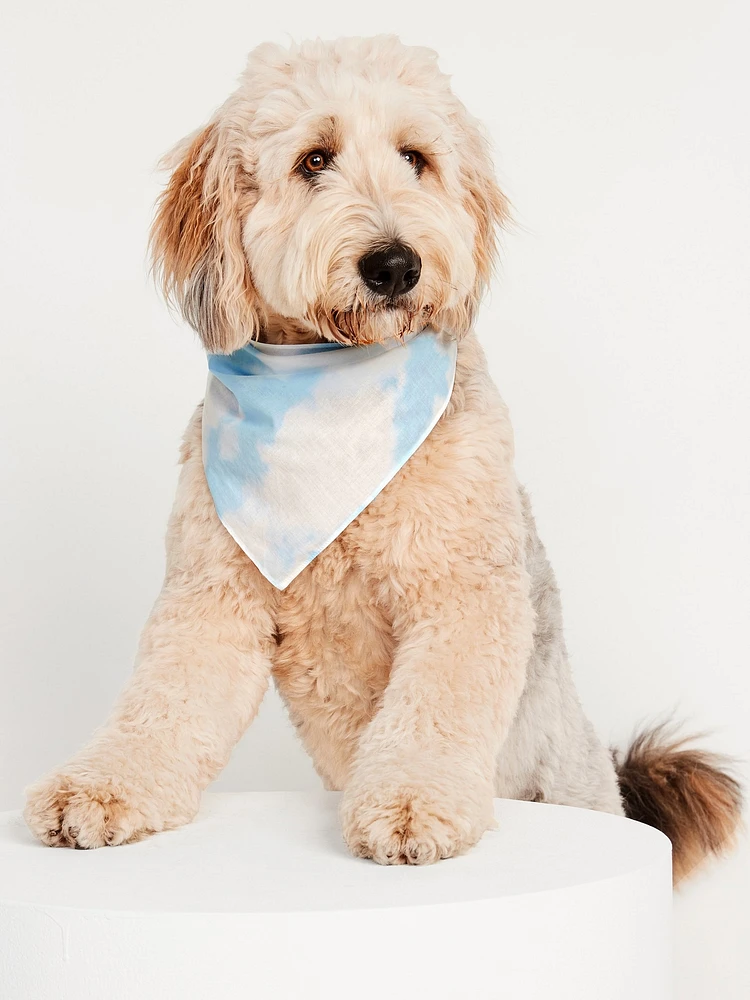 Bandana à imprimé assorti pour animaux domestiques