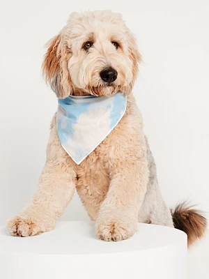 Bandana à imprimé assorti pour animaux domestiques