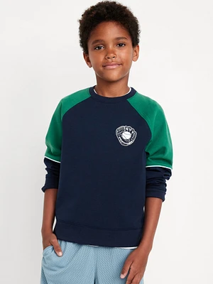 Dynamic Fleece Color Block Graphic Sweatshirt for Boys