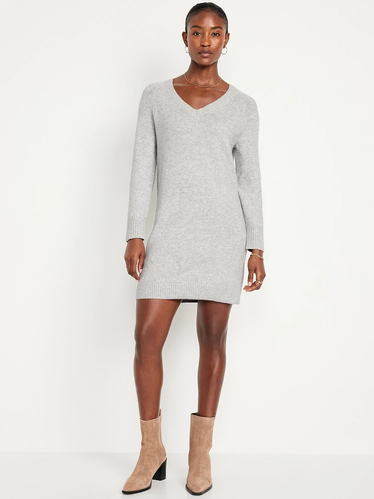 SoSoft Mini Sweater Dress