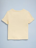 Birthday Graphic T-Shirt for Toddler Girls