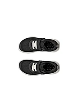 ECCO BIOM 2.2