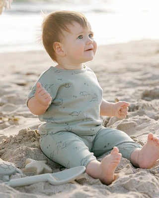 Dino Tee + Pant Set