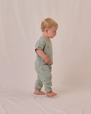 Dino Tee + Pant Set