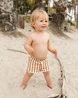 Clay Stripe Swim Trunk