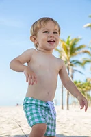 Palazzo Bay Swim Briefs