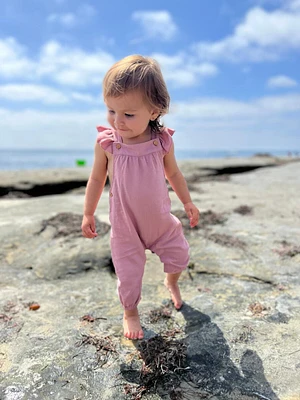 Mauve Eloise Overalls