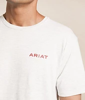 Americana Mountain T-Shirt