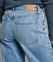 Payton Wide Leg Stretch Jean