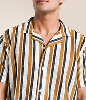 Striped Shirt