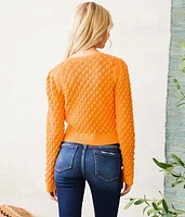 Pointelle Knit Sweater