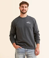 3 Labradors Pullover