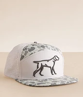 Tech Dog Camo Hat