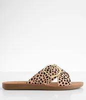 Soda Graphic Cheetah Sandal