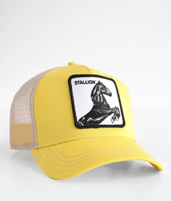 Goorin Bros. The Stallion Trucker Hat