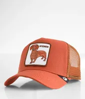 Goorin Bros. Wiener Dog Trucker Hat