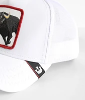 Knocksville Stretch Trucker Hat