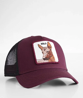 X Marks The Spot Trucker Hat