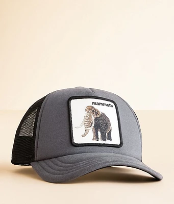 Boys - Fuzzy Trunk Trucker Hat