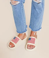 Arizonna Flag Slide