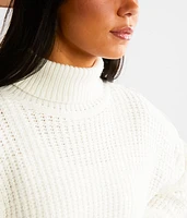 Turtleneck Cropped Sweater
