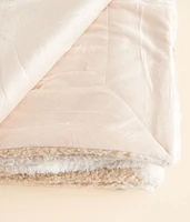 Teddy Plush Blanket
