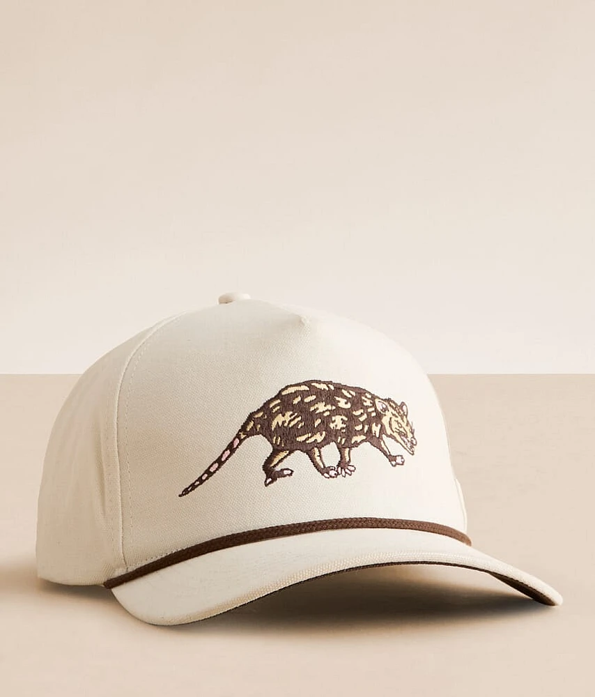Opossum Hat
