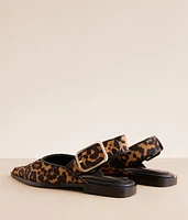 Shay Leopard Shoe