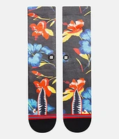 Seymour Socks
