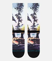 Ace Ventura When Nature Calls Socks
