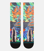 Bomin Socks