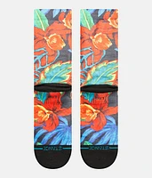 Bomin Socks