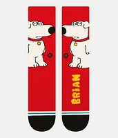 The Dog Socks
