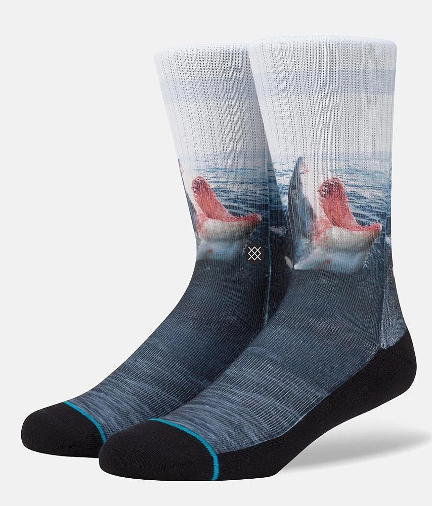 Landlord Socks