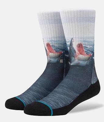 Landlord Socks