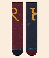 Ron & Harry Potter™ Socks