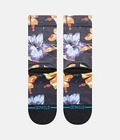 Boys - Fleurbird Socks