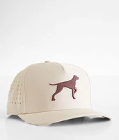 Waggle Bird Dog Hat