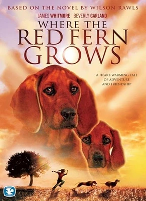 Where the Red Fern Grows [DVD] [1974]