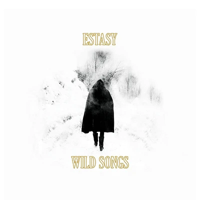 Wild Songs [LP] - VINYL