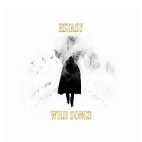 Wild Songs [LP] - VINYL