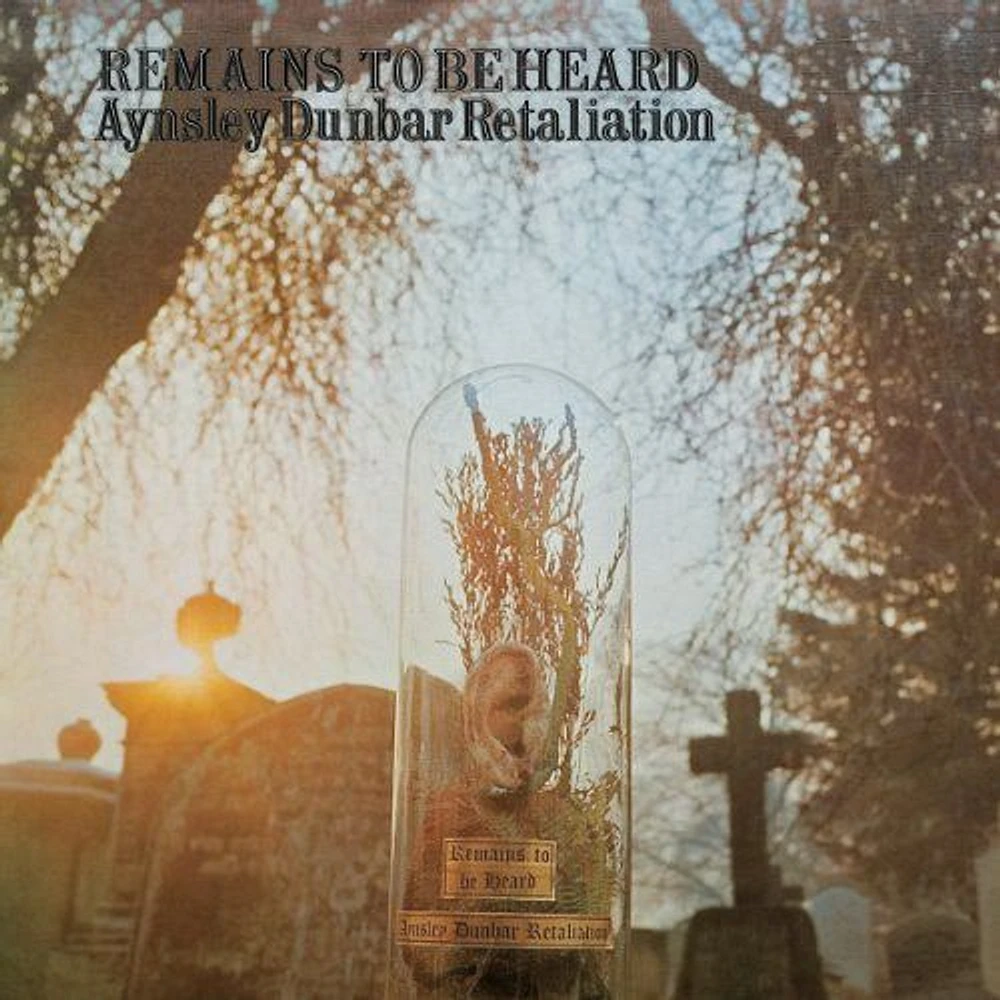 Remains To Be Heard [180g Vinyl] [LP] - VINYL