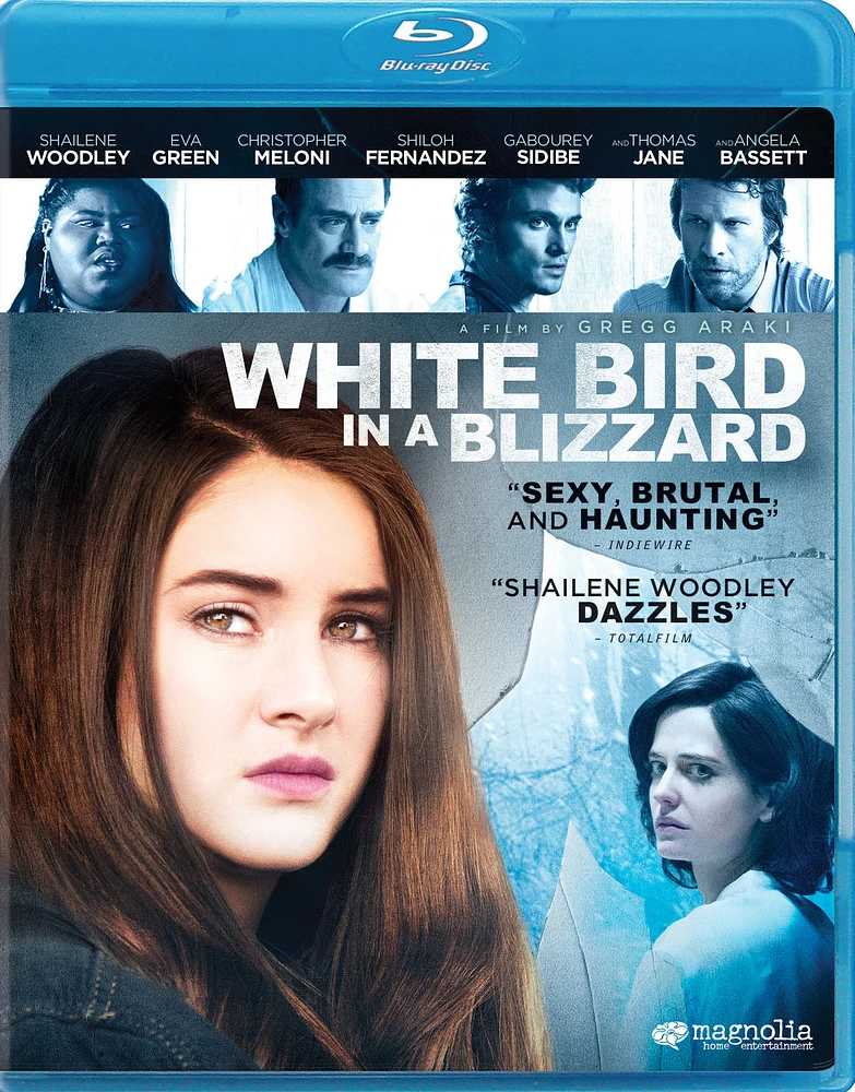 White Bird in a Blizzard [Blu-ray] [2014]