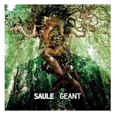 Géant [LP] - VINYL