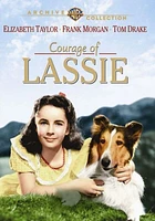 Courage of Lassie [DVD] [1946]