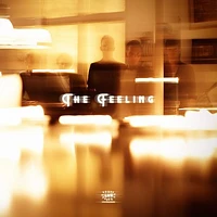 The Feeling [LP] - VINYL