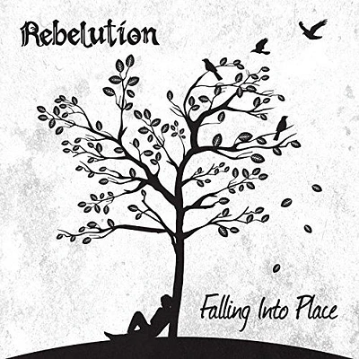 Falling Into Place [LP] - VINYL