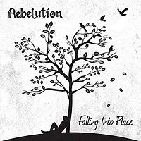 Falling Into Place [LP] - VINYL