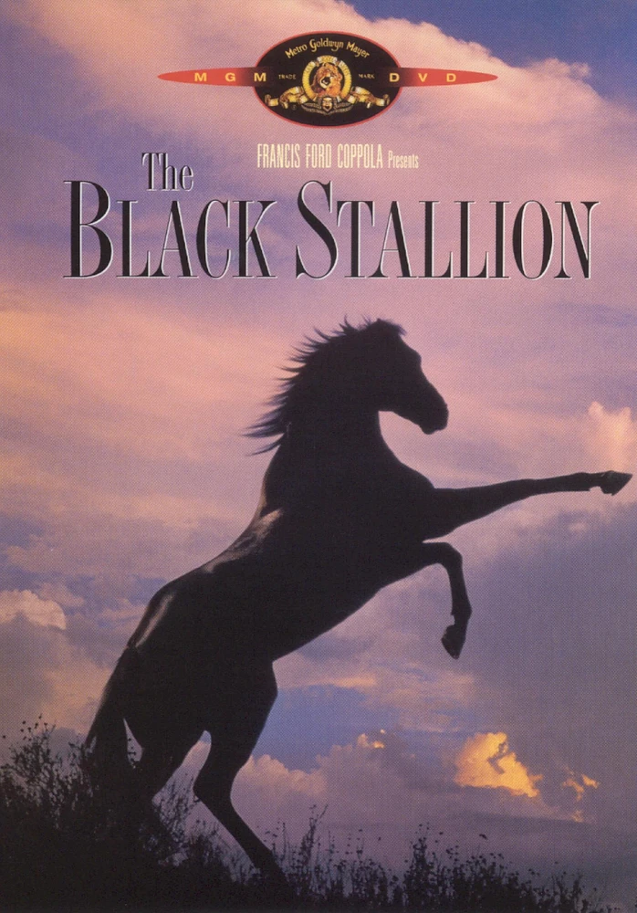 The Black Stallion [DVD] [1979]