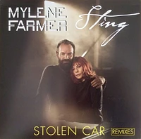 Stolen Car Remixes [LP] - VINYL